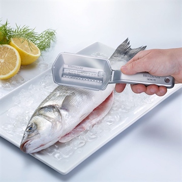 Râpes, Hachoirs et Robots Manuels : Ecailleur à poisson
