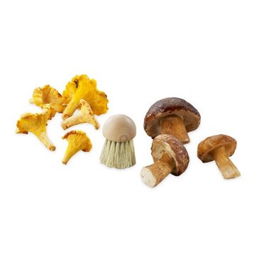 Eplucheurs : Brosse à champignons