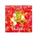 Tulipes Mastrad