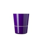 Pot herbes aromatiques violet