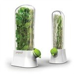 Mini herbier savor