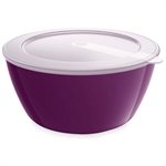 Boîte avec couvercle mûre 24 cm