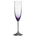 6 Flûtes Champagne lilas Daily Colours Leonardo