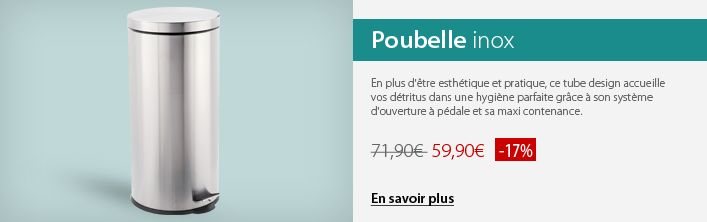 poubelle inox