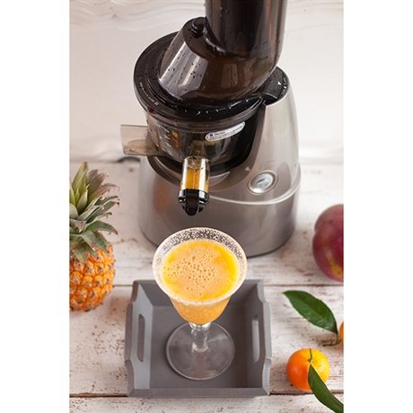 tamis pour sorbet extracteur de jus