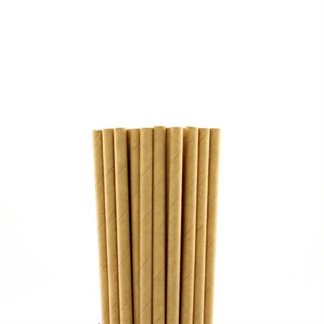 Set de 250 pailles écologiques en papier kraft Lebrun