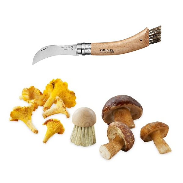Set brosse à champignons et couteau à champignons pliant N°8 zoom