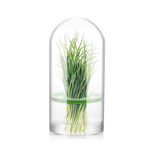 Boite à herbes aromatiques Sense 24 cm zoom