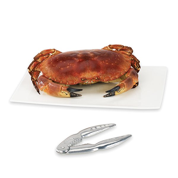 Solide et Durable Pince /à Crabe Pince Multi-Fonction Bras Magique Pince Pince Crabe Support Pince pour Appareil Photo Reflex num/érique Pince /à Crabe Pince