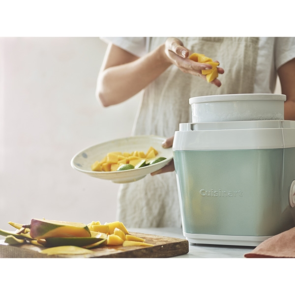 cuisinart ice31ge