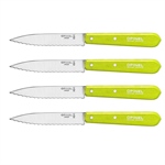 Set 4 couteaux office lames crantées inox 10 cm coloris pomme