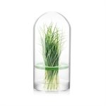 Boite à herbes aromatiques Sense 24 cm