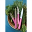 Couteau à légumes N°114 fuchsia Opinel(vue 3)