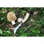 Couteau à champignons pliant N°8 lame inox 8 cm Opinel(vue 4)