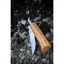 Couteau pliant N°06 Inox 7 cm manche en Olivier Opinel(vue 2)