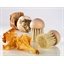Brosse à champignons(vue 2)