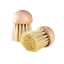 Brosse à champignons(vue 3)