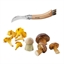 Set brosse à champignons et couteau à champignons pliant N°8(vue 1)